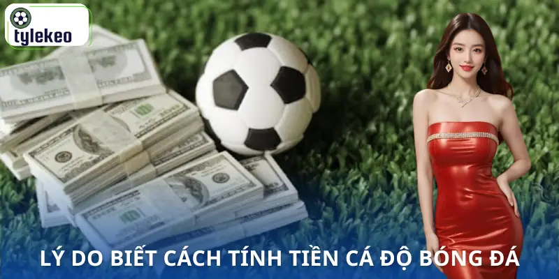 cach-tinh-tien-ca-do-bong-da-ly-do
