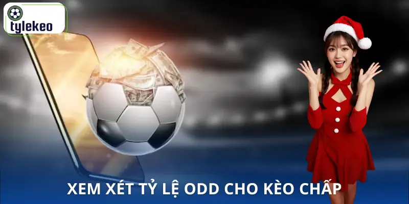 keo-chap-0-05-la-gì-xem-ty-le-odd