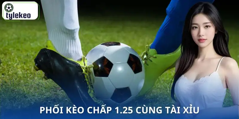 keo-chap-1-25-la-gi-ket-hop-voi-tai-xiu