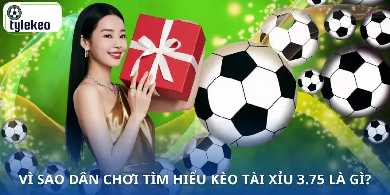 keo-tai-xiu-3-75-la-gi-ly-do