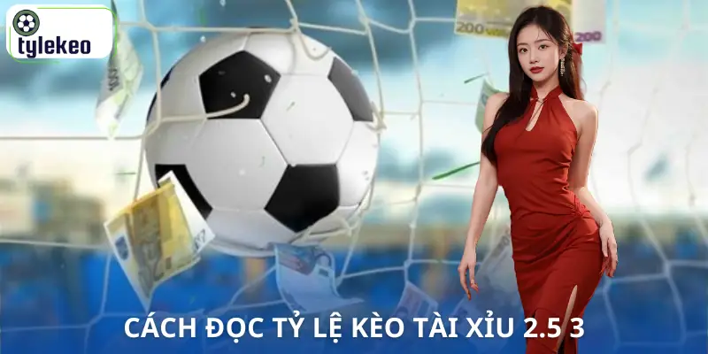 tai-xiu-2-5-3-cach-doc