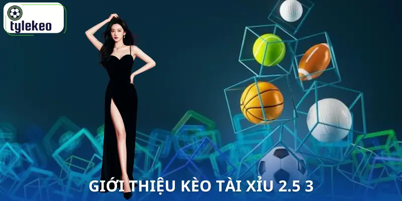 tai-xiu-2-5-3-gioi-thieu